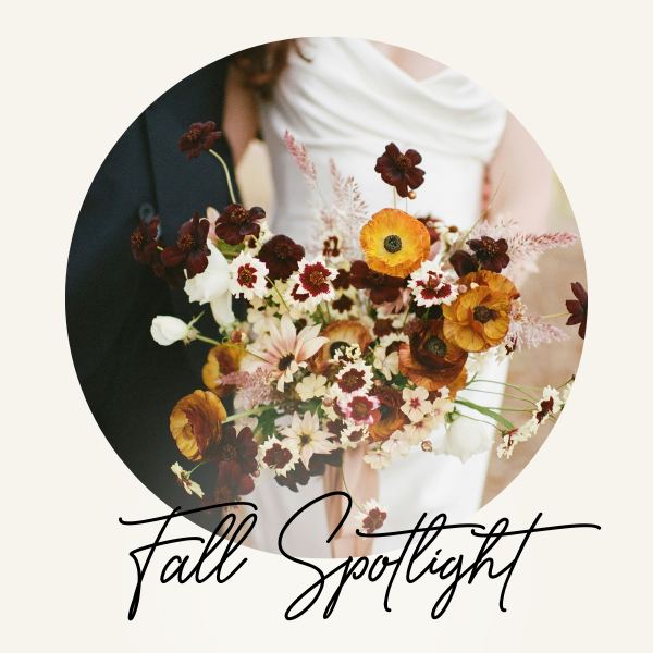 TEMPLATE Newsletter Spotlight (300x300)-Oct-01-2024-12-02-24-2155-AM