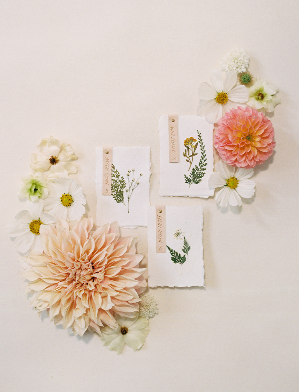 the perfect petal denver prints and place cards