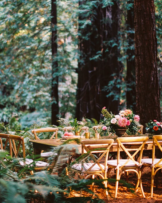 wedding-in-the-woods