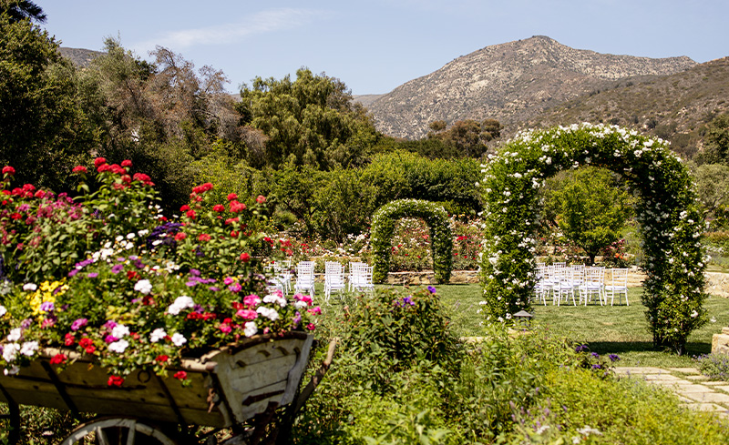 Garden wedding décor and florals