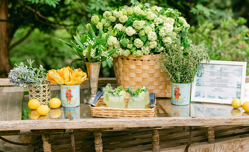 picnic-inspired-party