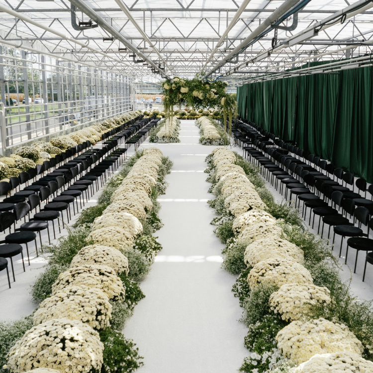 runway-wedding